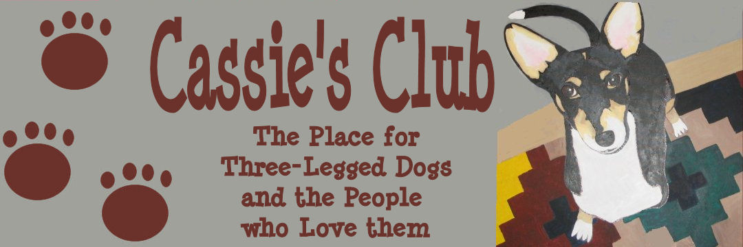Three Legged Dog Club